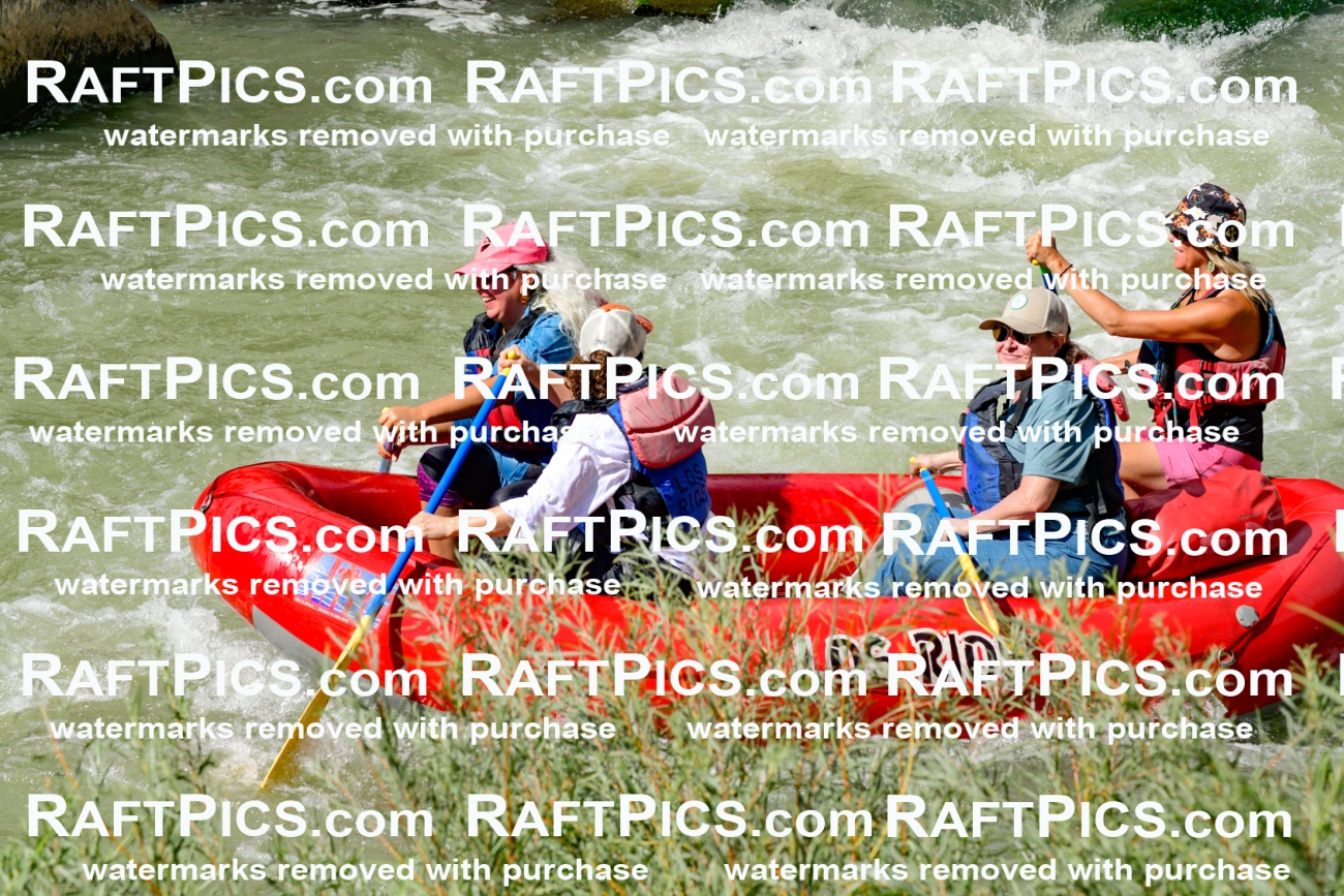 010229_Raftpics_September-07__LOS_RIOS__Racecourse_PM_KA_Leslie