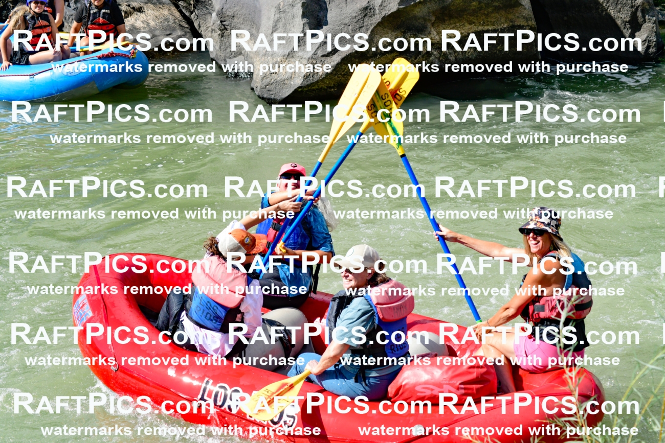 010230_Raftpics_September-07__LOS_RIOS__Racecourse_PM_KA_Leslie