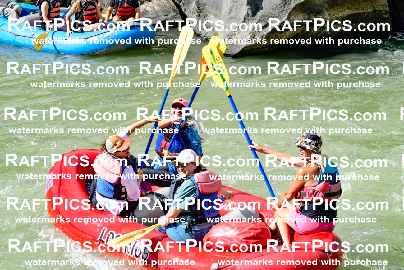 010232_Raftpics_September-07__LOS_RIOS__Racecourse_PM_KA_Leslie