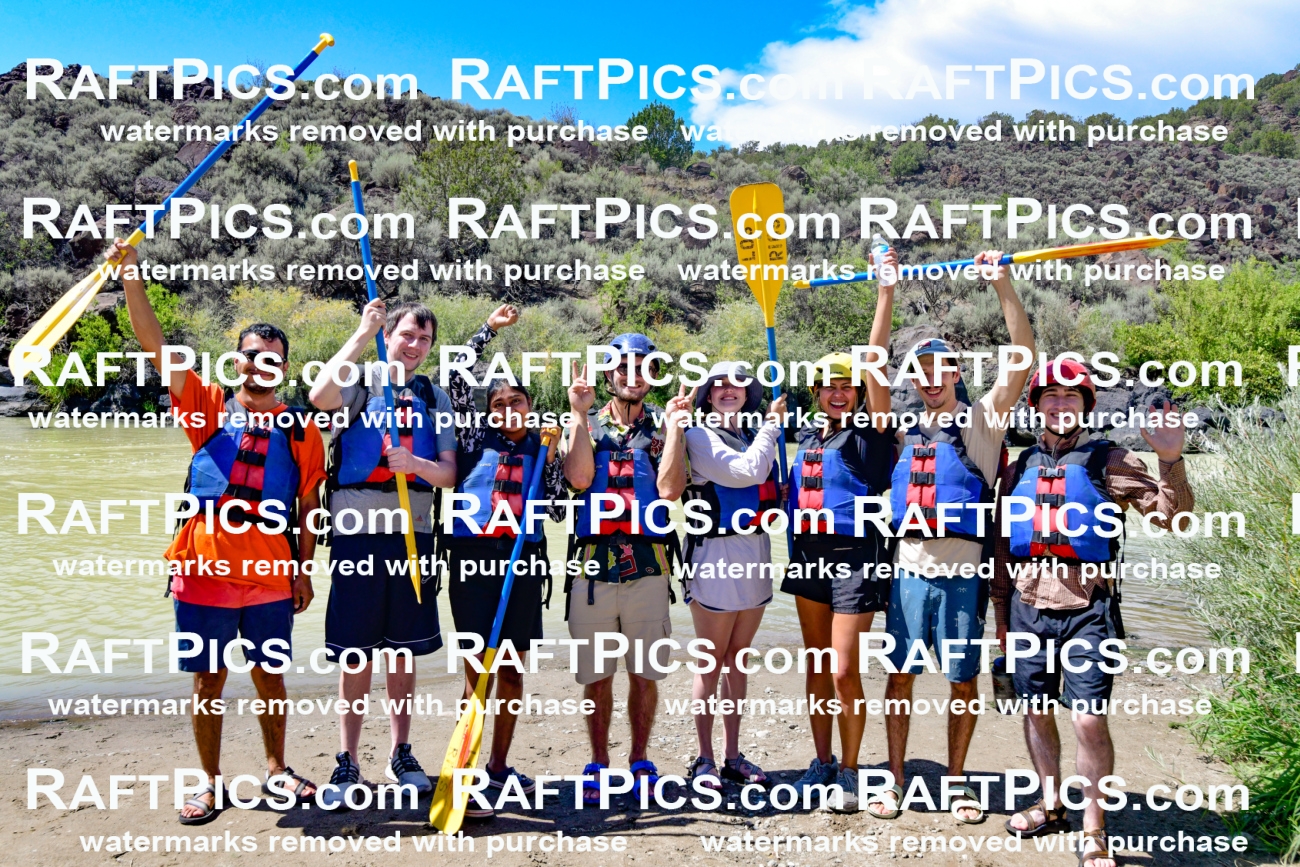 010146_Raftpics_September-07__LOS_RIOS__Racecourse_PM_KA_Shay