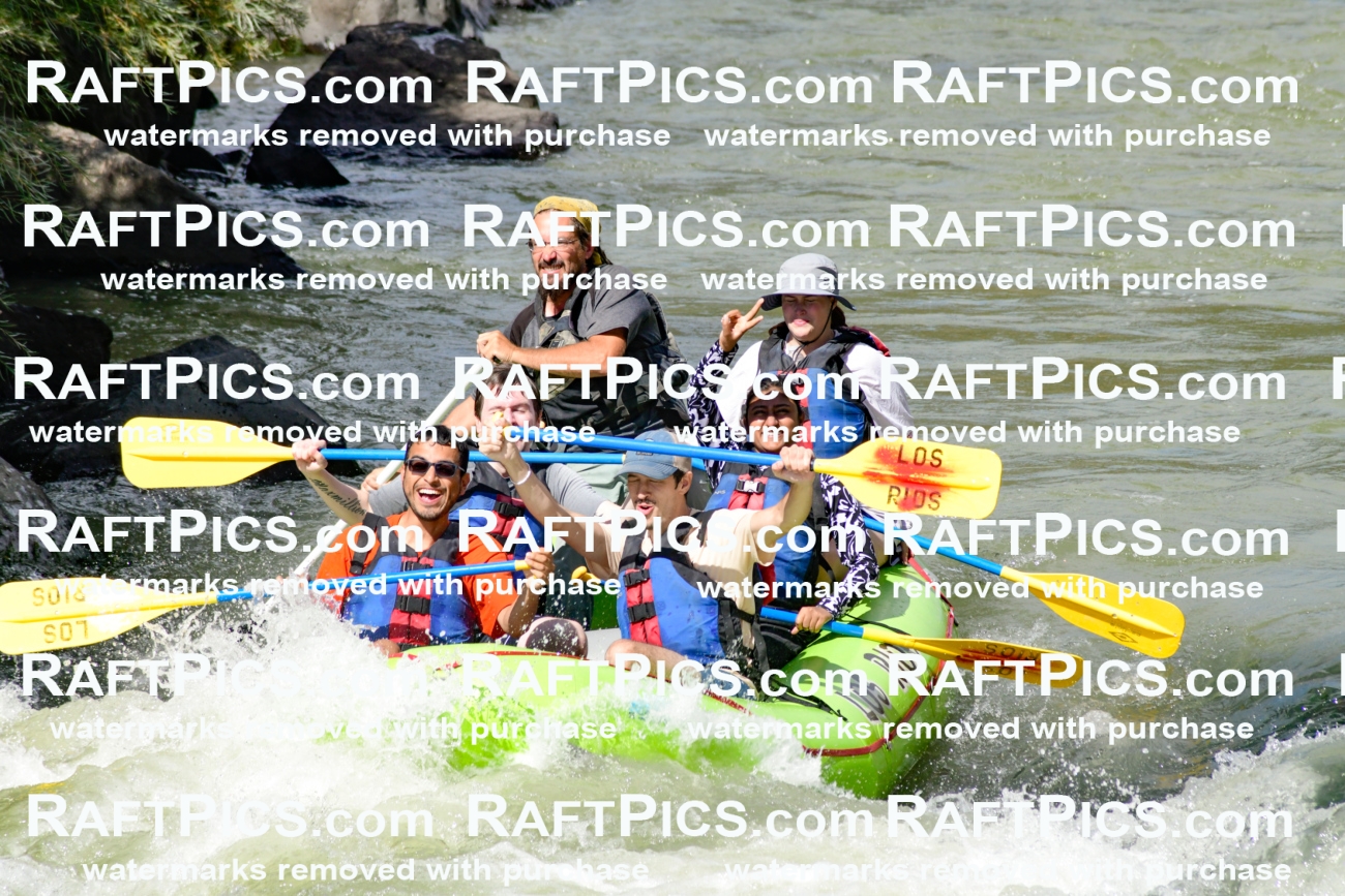 010149_Raftpics_September-07__LOS_RIOS__Racecourse_PM_KA_Shay