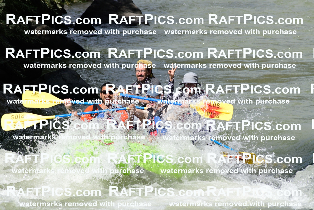 010150_Raftpics_September-07__LOS_RIOS__Racecourse_PM_KA_Shay