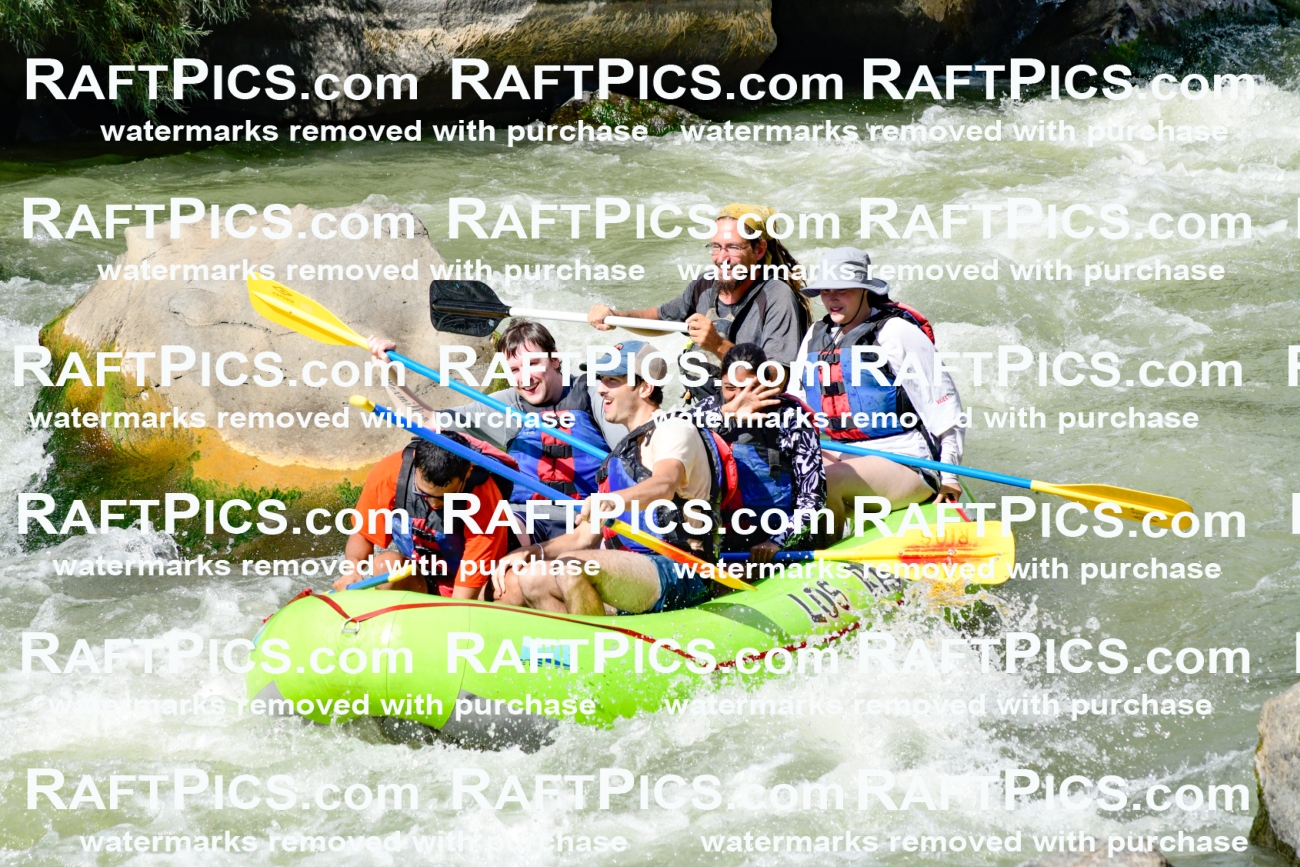 010164_Raftpics_September-07__LOS_RIOS__Racecourse_PM_KA_Shay