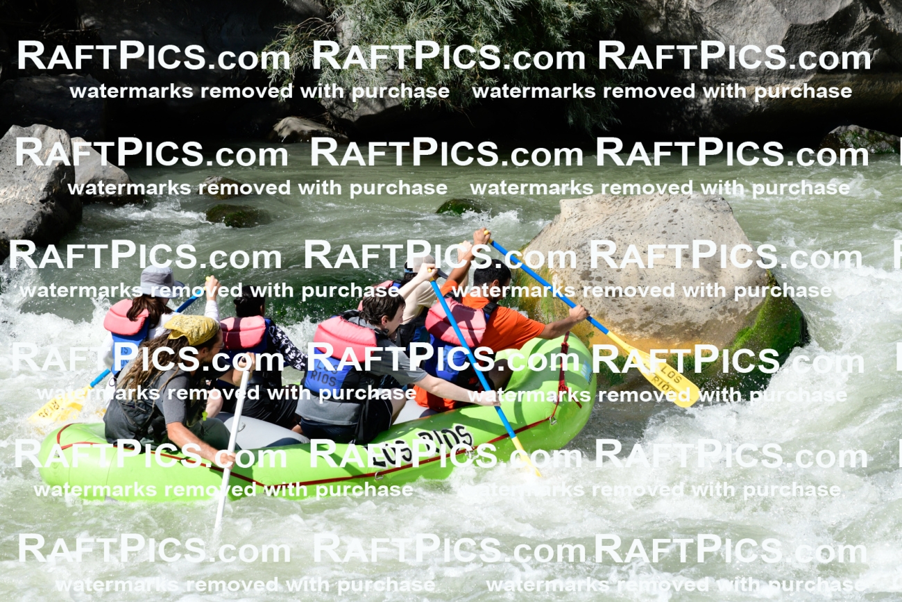 010173_Raftpics_September-07__LOS_RIOS__Racecourse_PM_KA_Shay