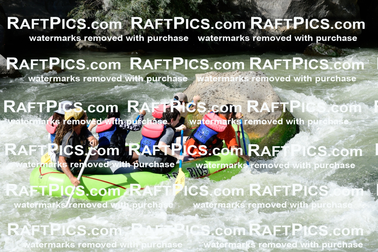 010174_Raftpics_September-07__LOS_RIOS__Racecourse_PM_KA_Shay