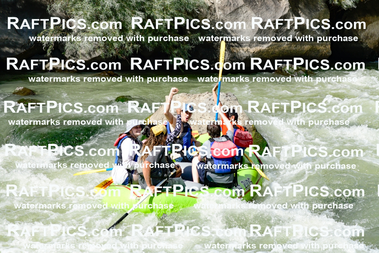 010175_Raftpics_September-07__LOS_RIOS__Racecourse_PM_KA_Shay