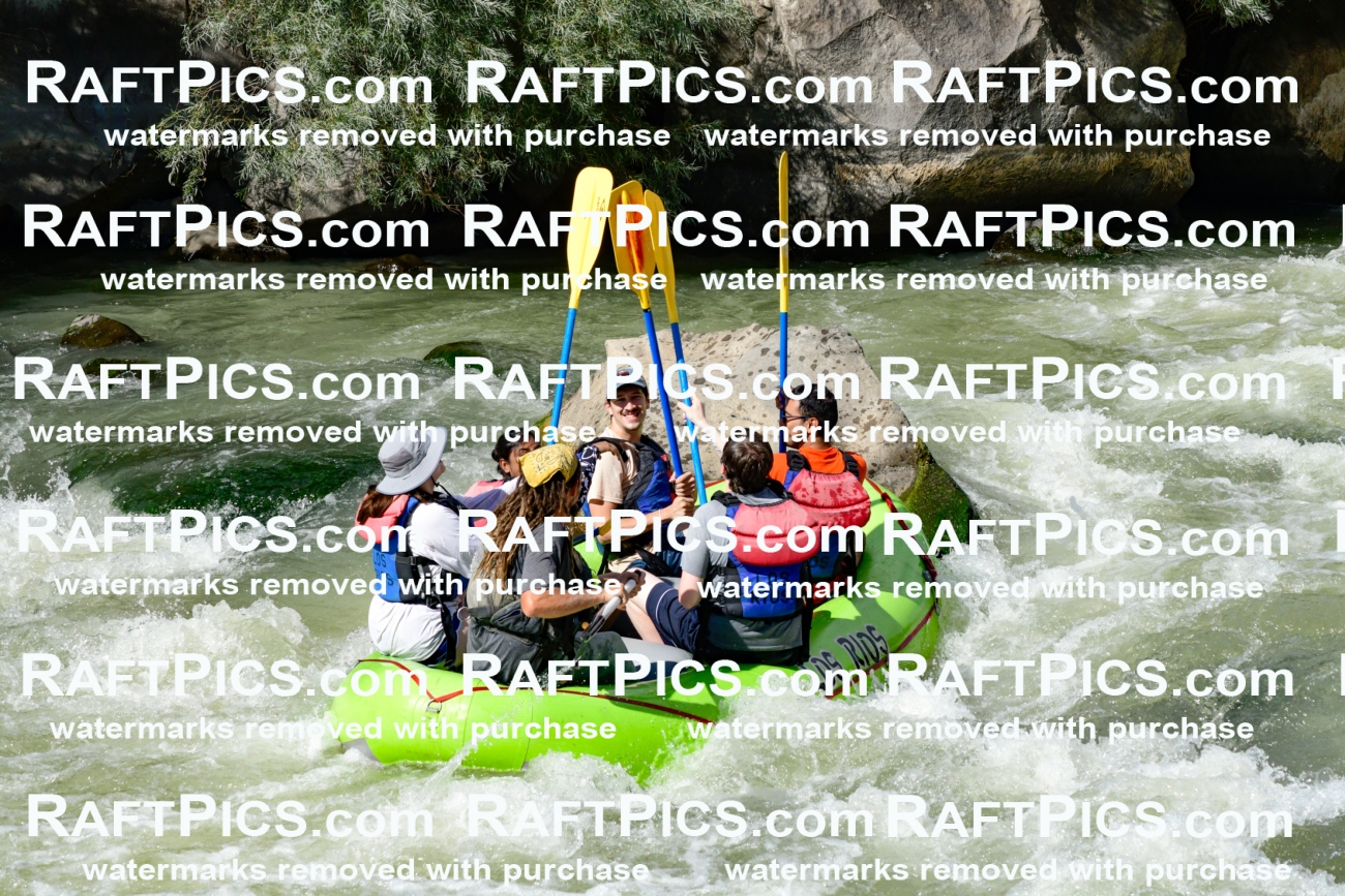 010177_Raftpics_September-07__LOS_RIOS__Racecourse_PM_KA_Shay