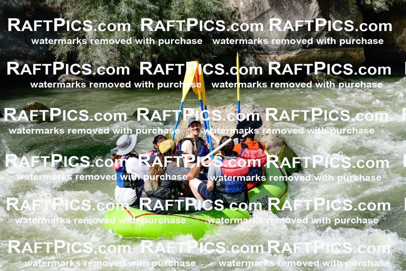 010178_Raftpics_September-07__LOS_RIOS__Racecourse_PM_KA_Shay