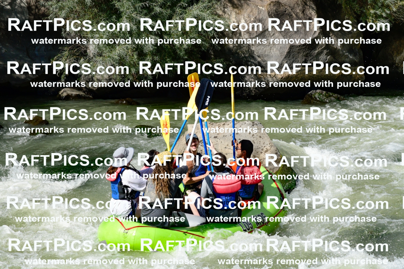 010179_Raftpics_September-07__LOS_RIOS__Racecourse_PM_KA_Shay