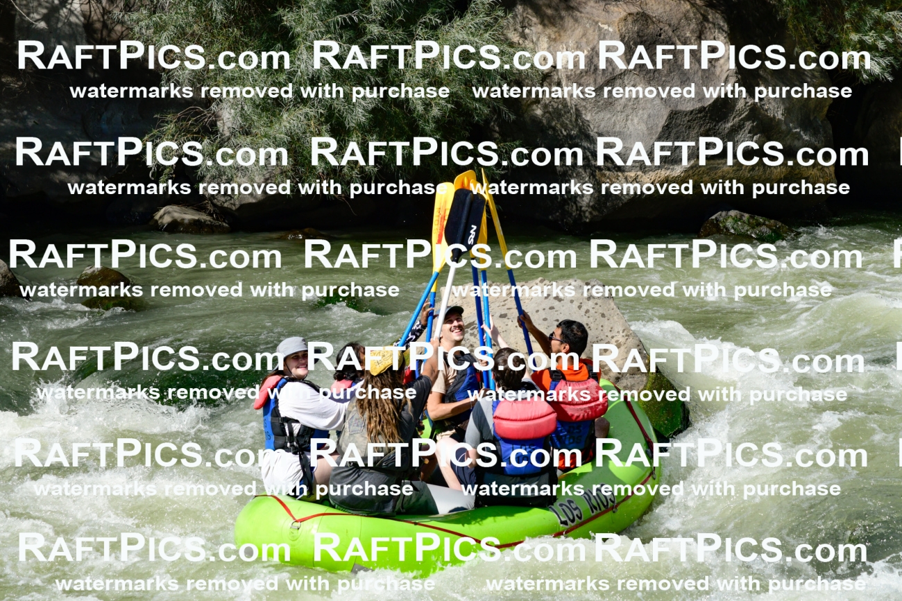 010180_Raftpics_September-07__LOS_RIOS__Racecourse_PM_KA_Shay