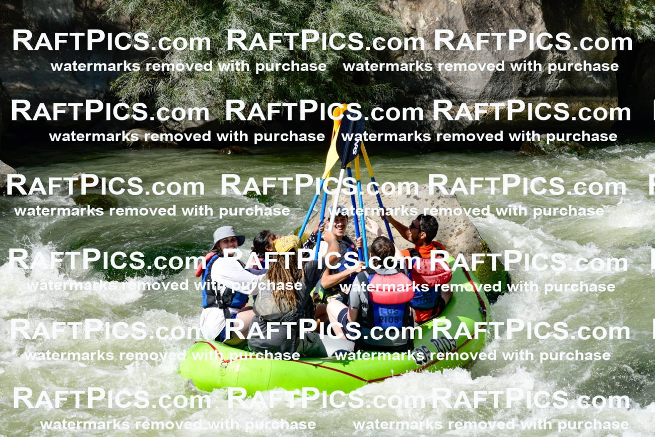 010181_Raftpics_September-07__LOS_RIOS__Racecourse_PM_KA_Shay