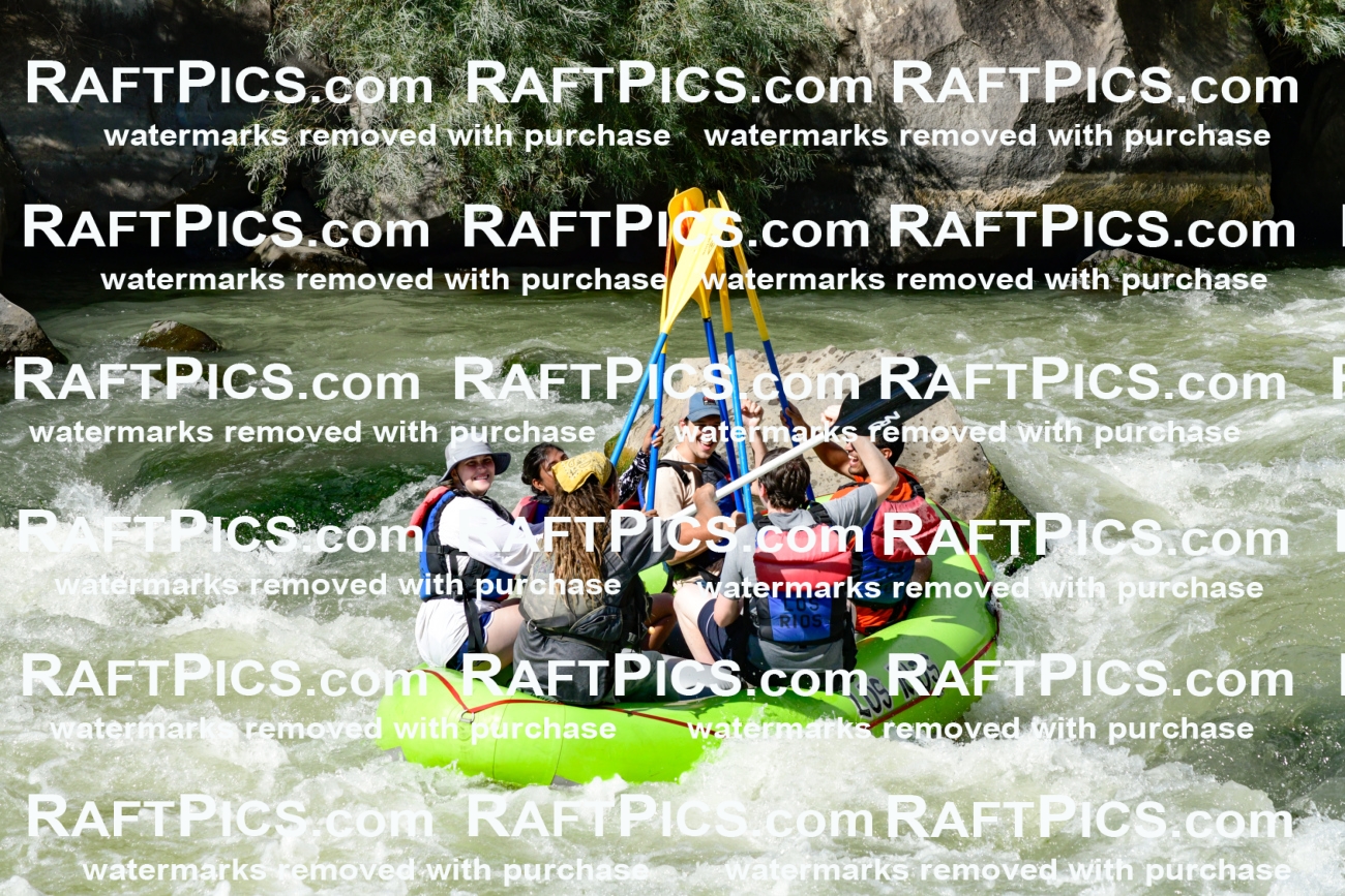 010182_Raftpics_September-07__LOS_RIOS__Racecourse_PM_KA_Shay