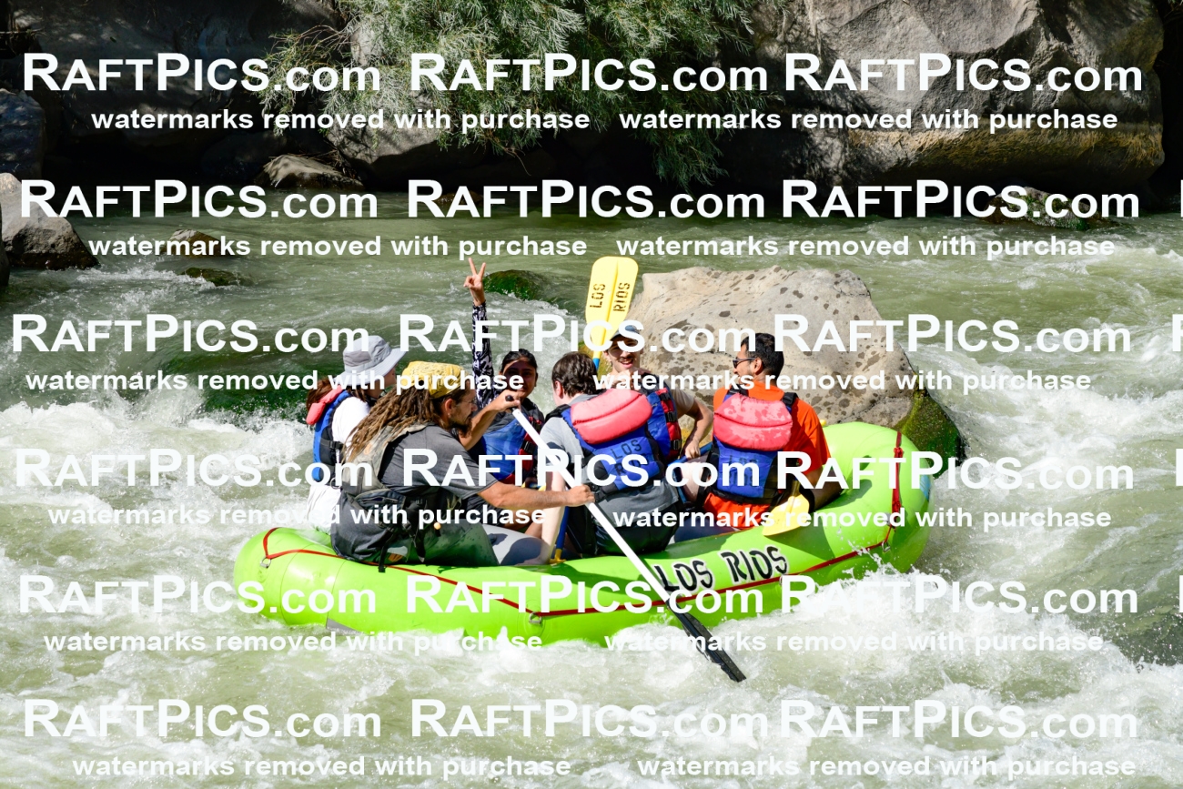 010183_Raftpics_September-07__LOS_RIOS__Racecourse_PM_KA_Shay