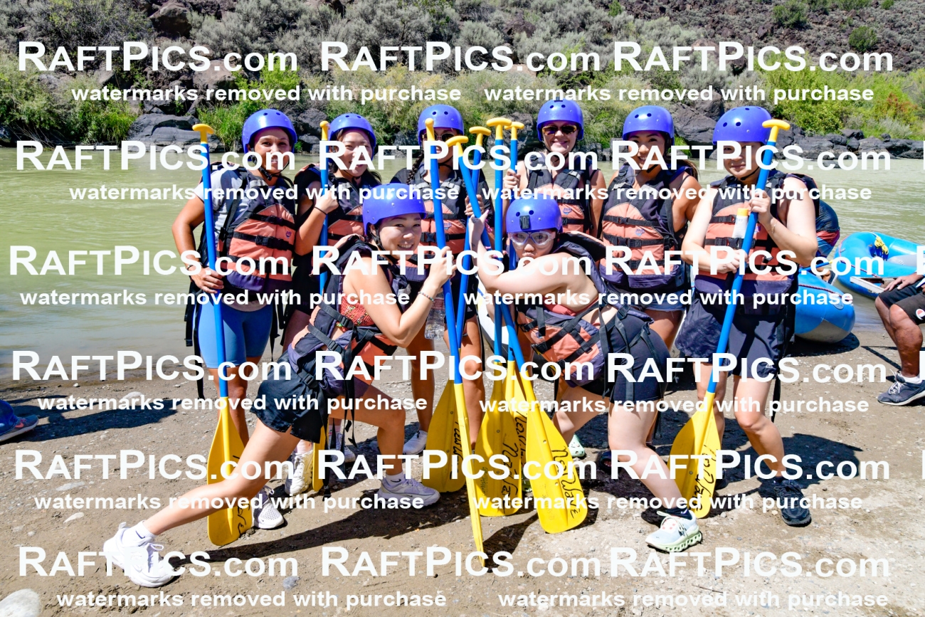 010995_Raftpics_September-07__NEW_WAVE__Racecourse_PM_KA_Group_KLA0219