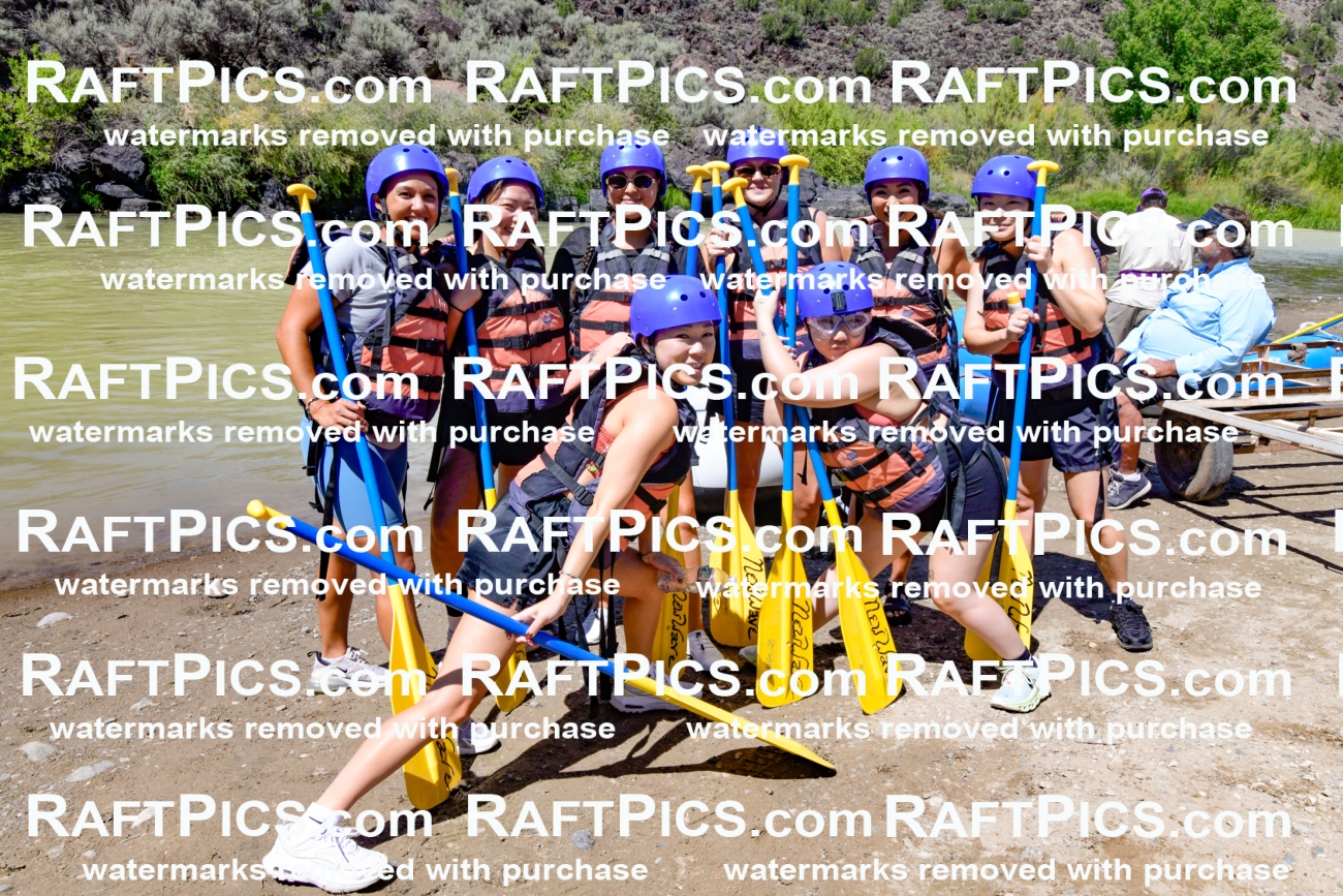 010996_Raftpics_September-07__NEW_WAVE__Racecourse_PM_KA_Group_KLA0220