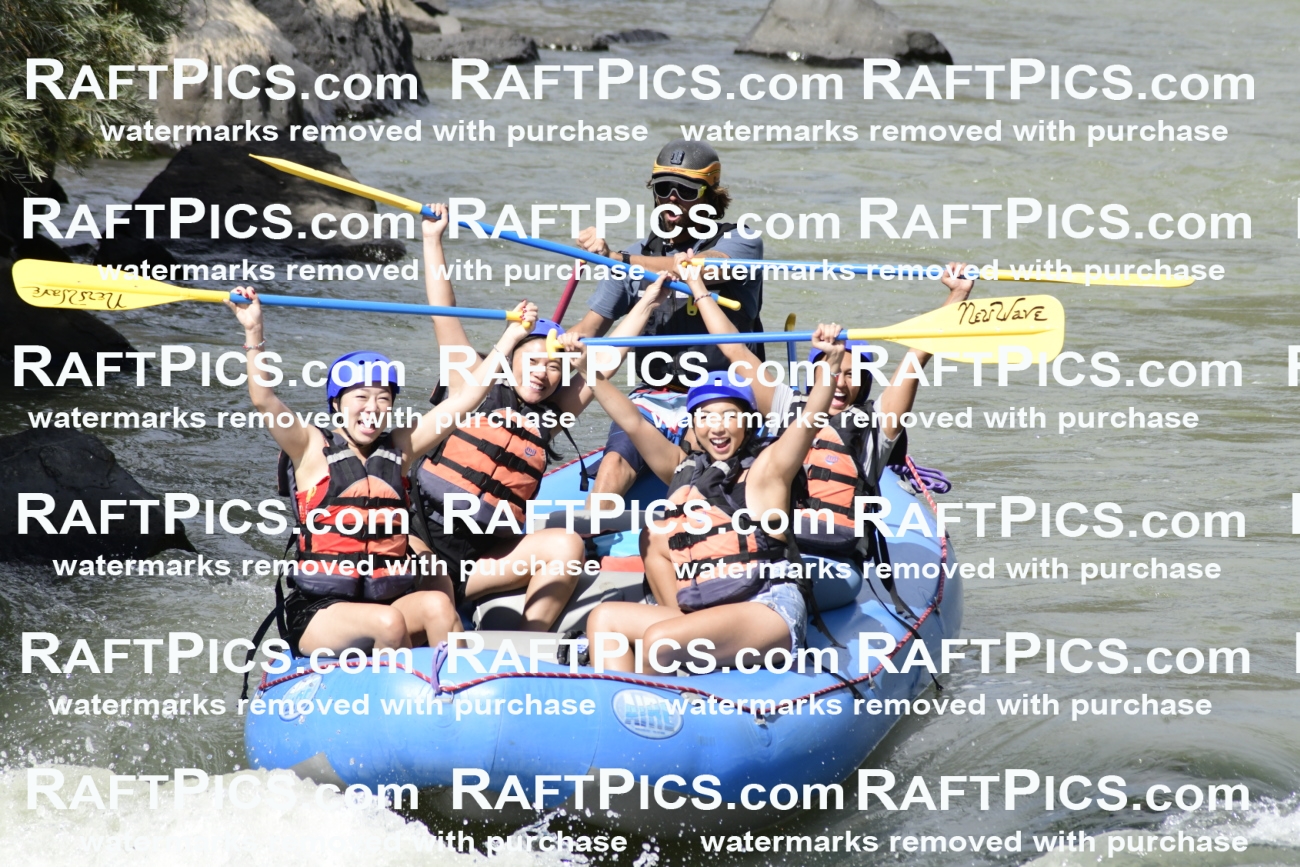 011047_Raftpics_September-07__NEW_WAVE__Racecourse_PM_KA_Dillon_KLA0380