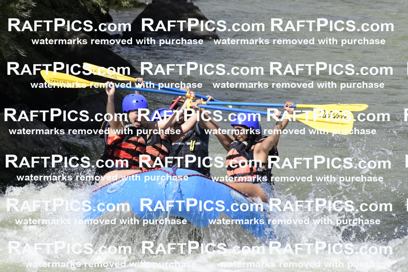 011052_Raftpics_September-07__NEW_WAVE__Racecourse_PM_KA_Dillon_KLA0385