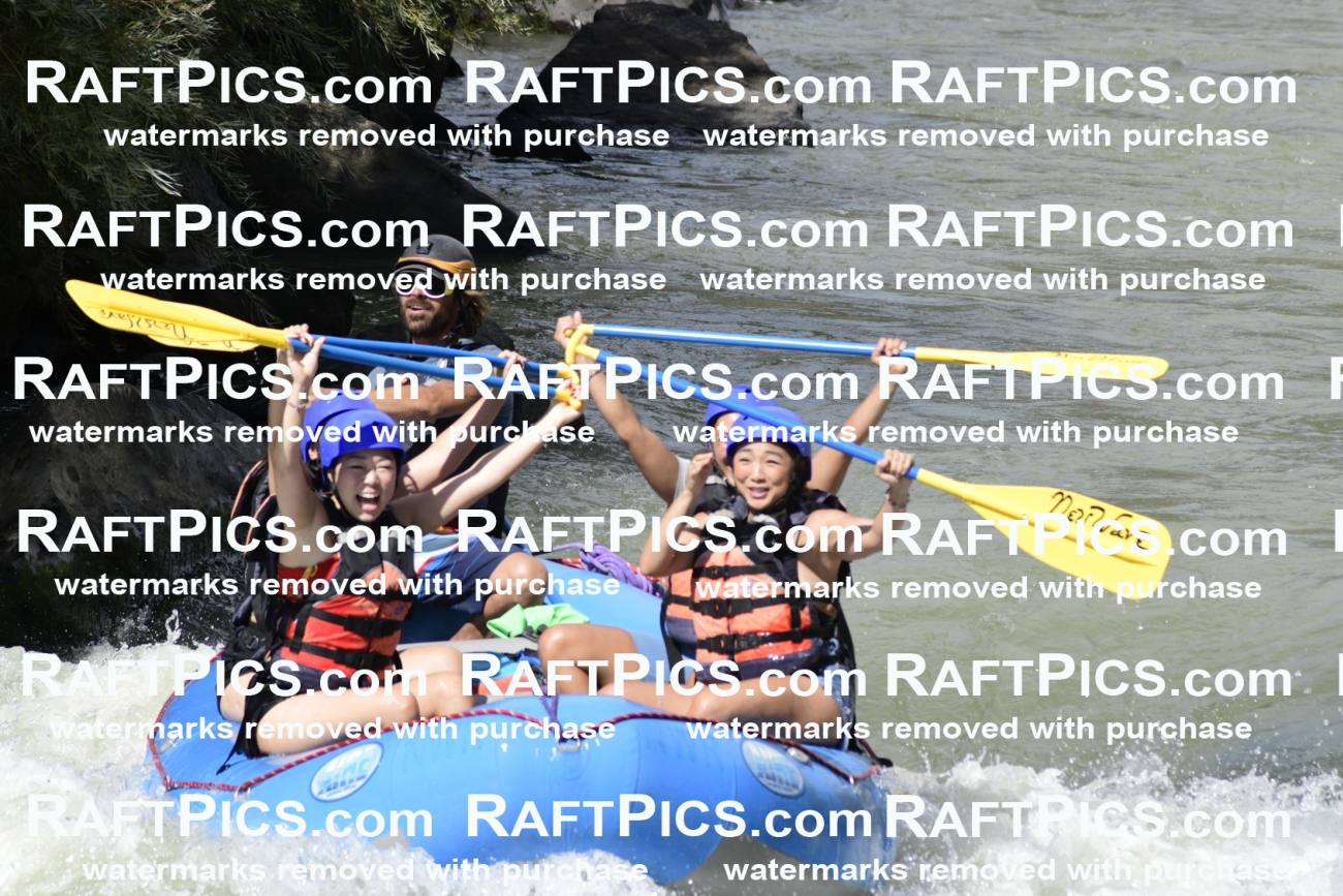 011055_Raftpics_September-07__NEW_WAVE__Racecourse_PM_KA_Dillon_KLA0388