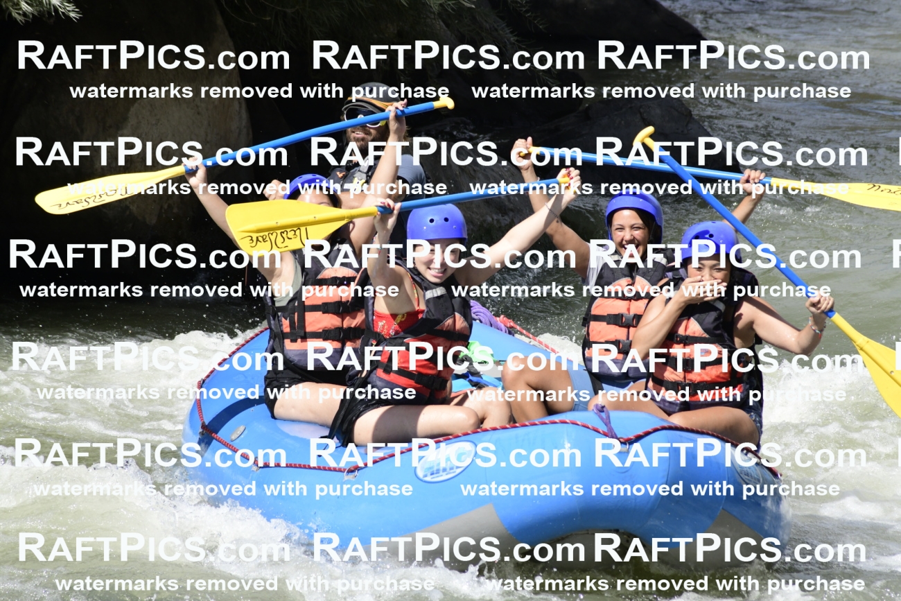 011059_Raftpics_September-07__NEW_WAVE__Racecourse_PM_KA_Dillon_KLA0392