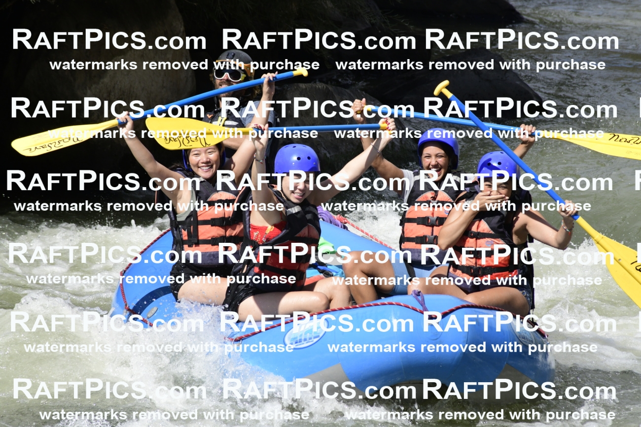 011060_Raftpics_September-07__NEW_WAVE__Racecourse_PM_KA_Dillon_KLA0393