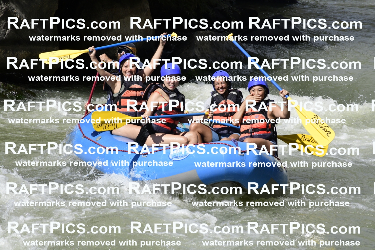 011061_Raftpics_September-07__NEW_WAVE__Racecourse_PM_KA_Dillon_KLA0394