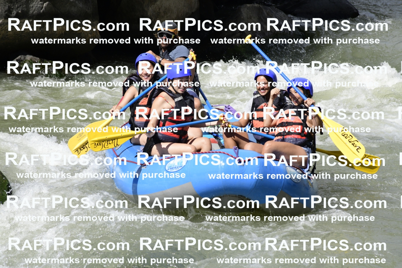 011064_Raftpics_September-07__NEW_WAVE__Racecourse_PM_KA_Dillon_KLA0397