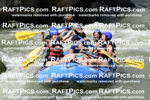 011065_Raftpics_September-07__NEW_WAVE__Racecourse_PM_KA_Dillon_KLA0398