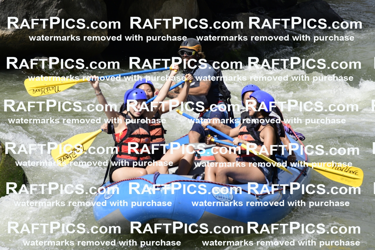 011066_Raftpics_September-07__NEW_WAVE__Racecourse_PM_KA_Dillon_KLA0399