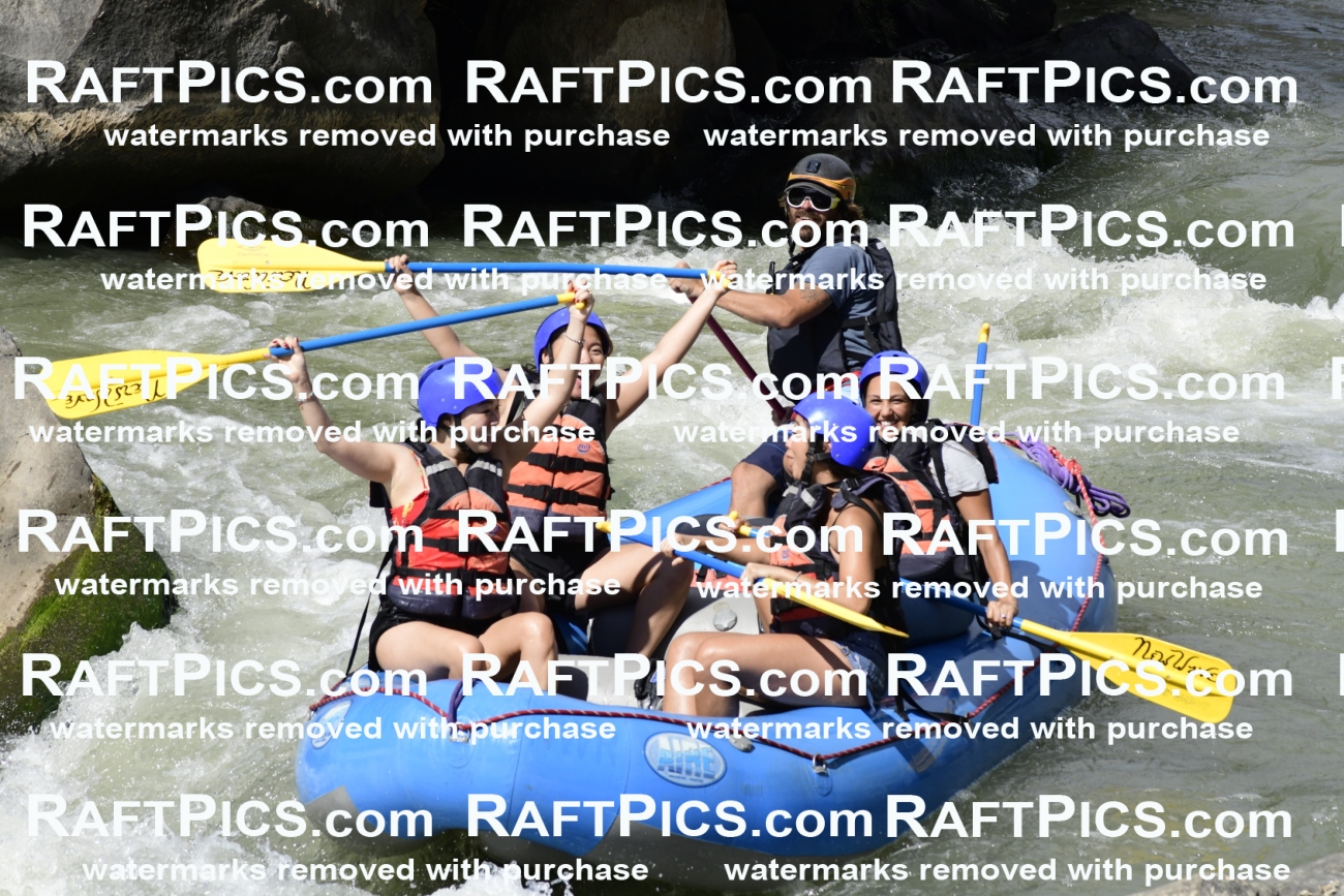 011068_Raftpics_September-07__NEW_WAVE__Racecourse_PM_KA_Dillon_KLA0401