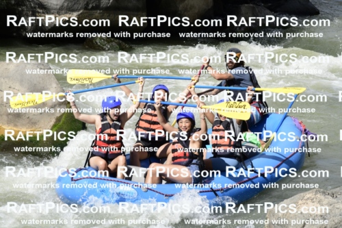 011070_Raftpics_September-07__NEW_WAVE__Racecourse_PM_KA_Dillon_KLA0403