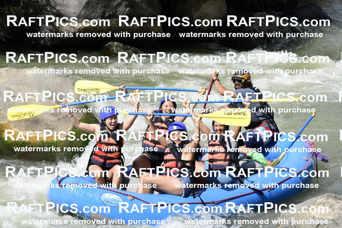 011071_Raftpics_September-07__NEW_WAVE__Racecourse_PM_KA_Dillon_KLA0404