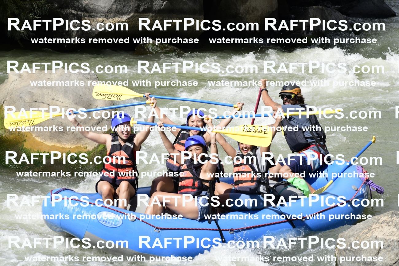 011072_Raftpics_September-07__NEW_WAVE__Racecourse_PM_KA_Dillon_KLA0405