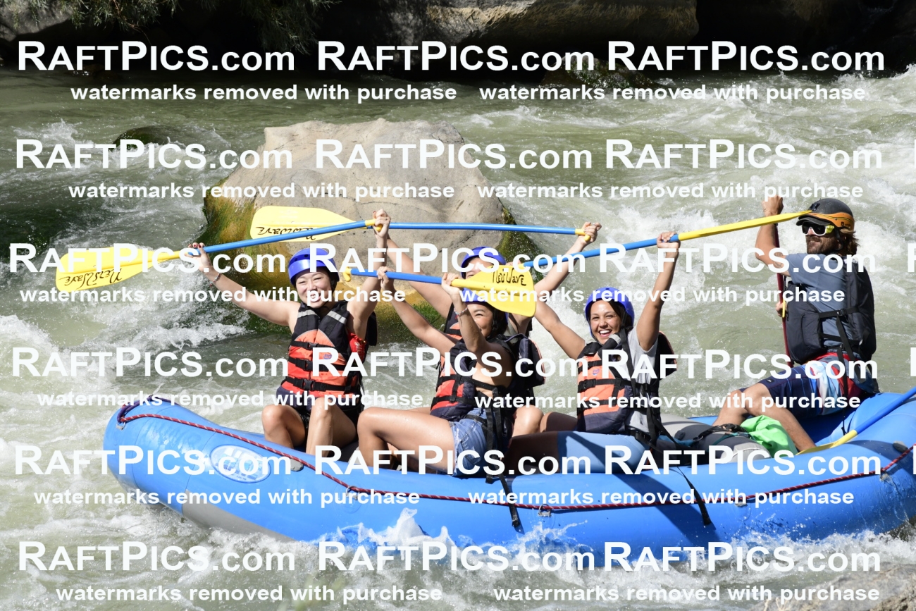 011075_Raftpics_September-07__NEW_WAVE__Racecourse_PM_KA_Dillon_KLA0408