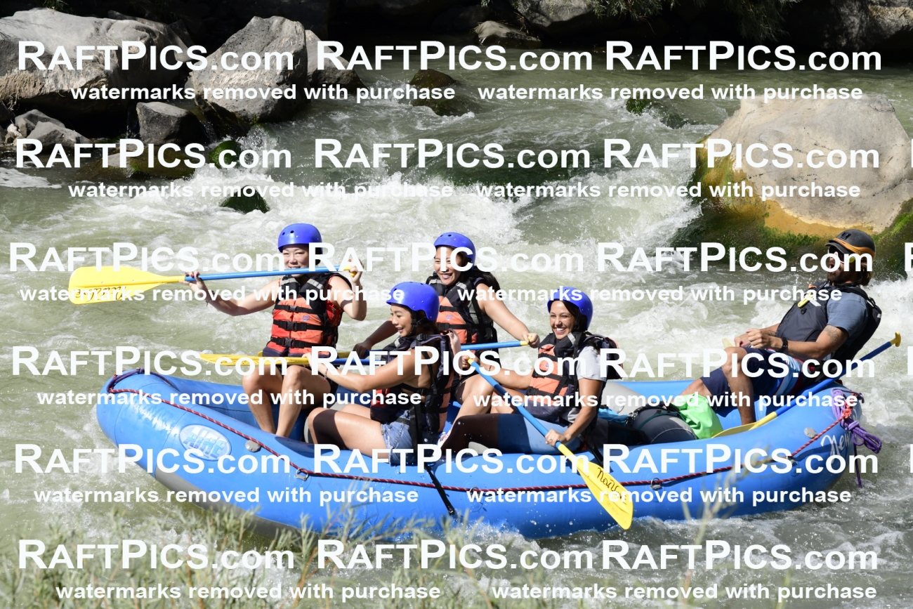 011078_Raftpics_September-07__NEW_WAVE__Racecourse_PM_KA_Dillon_KLA0411