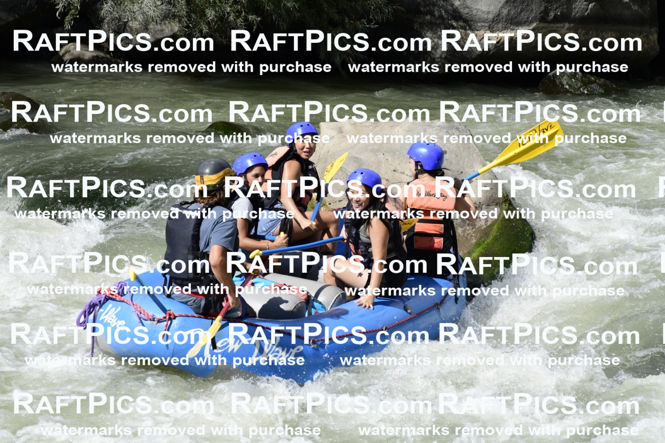 011080_Raftpics_September-07__NEW_WAVE__Racecourse_PM_KA_Dillon_KLA0619