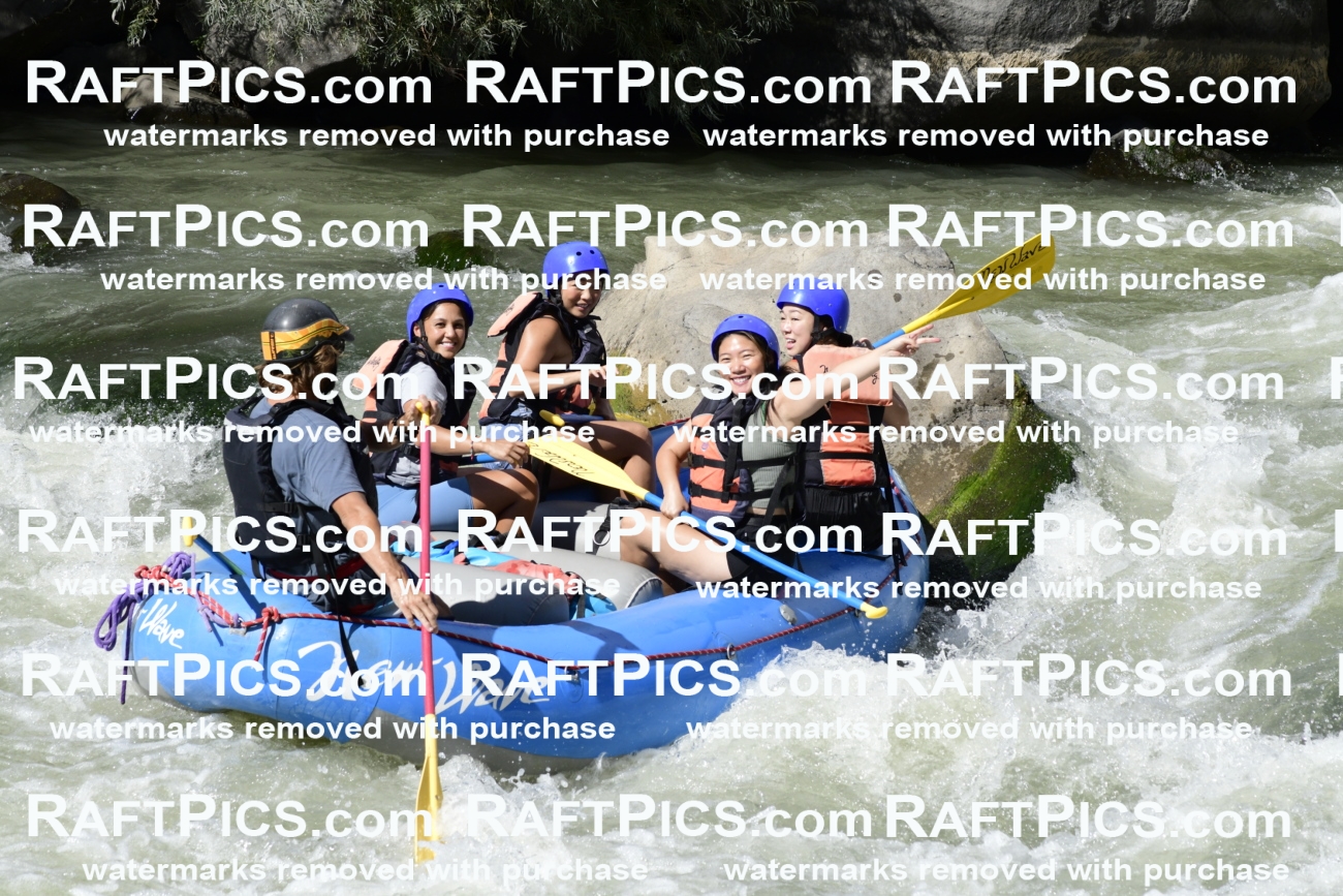 011081_Raftpics_September-07__NEW_WAVE__Racecourse_PM_KA_Dillon_KLA0620