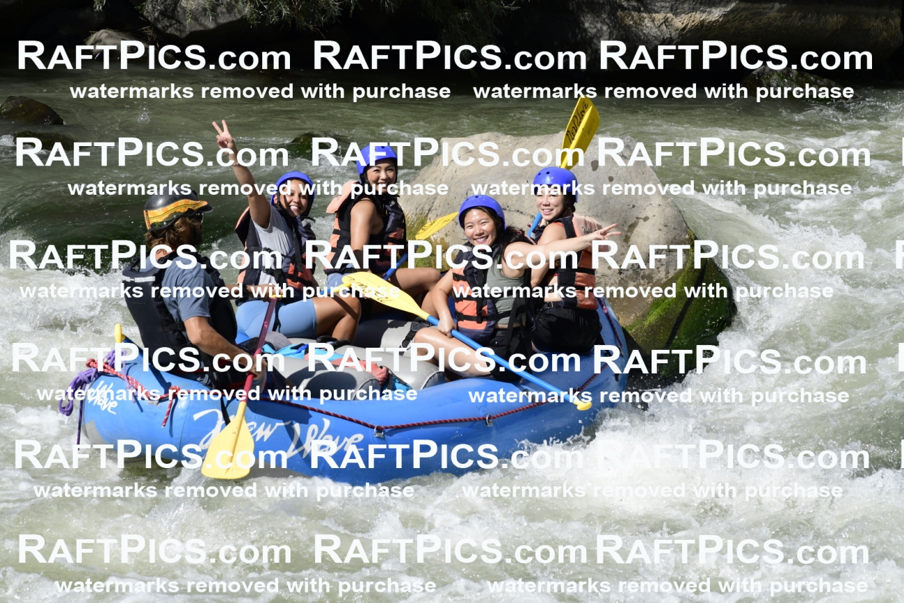 011082_Raftpics_September-07__NEW_WAVE__Racecourse_PM_KA_Dillon_KLA0621