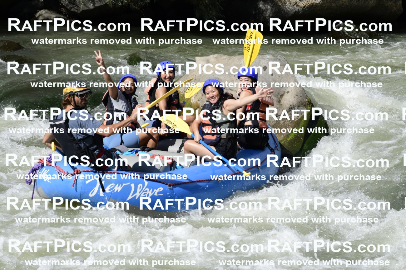 011084_Raftpics_September-07__NEW_WAVE__Racecourse_PM_KA_Dillon_KLA0623