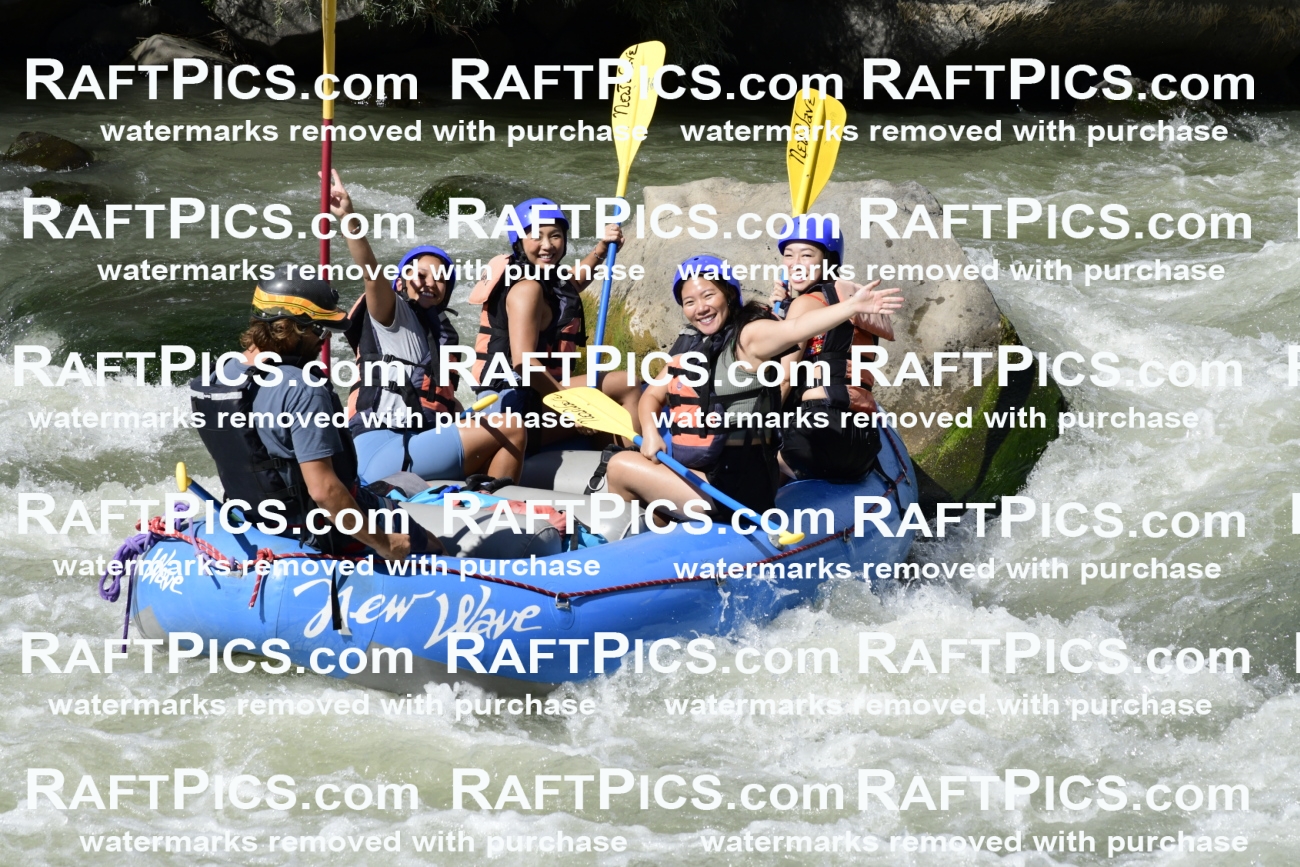 011085_Raftpics_September-07__NEW_WAVE__Racecourse_PM_KA_Dillon_KLA0624