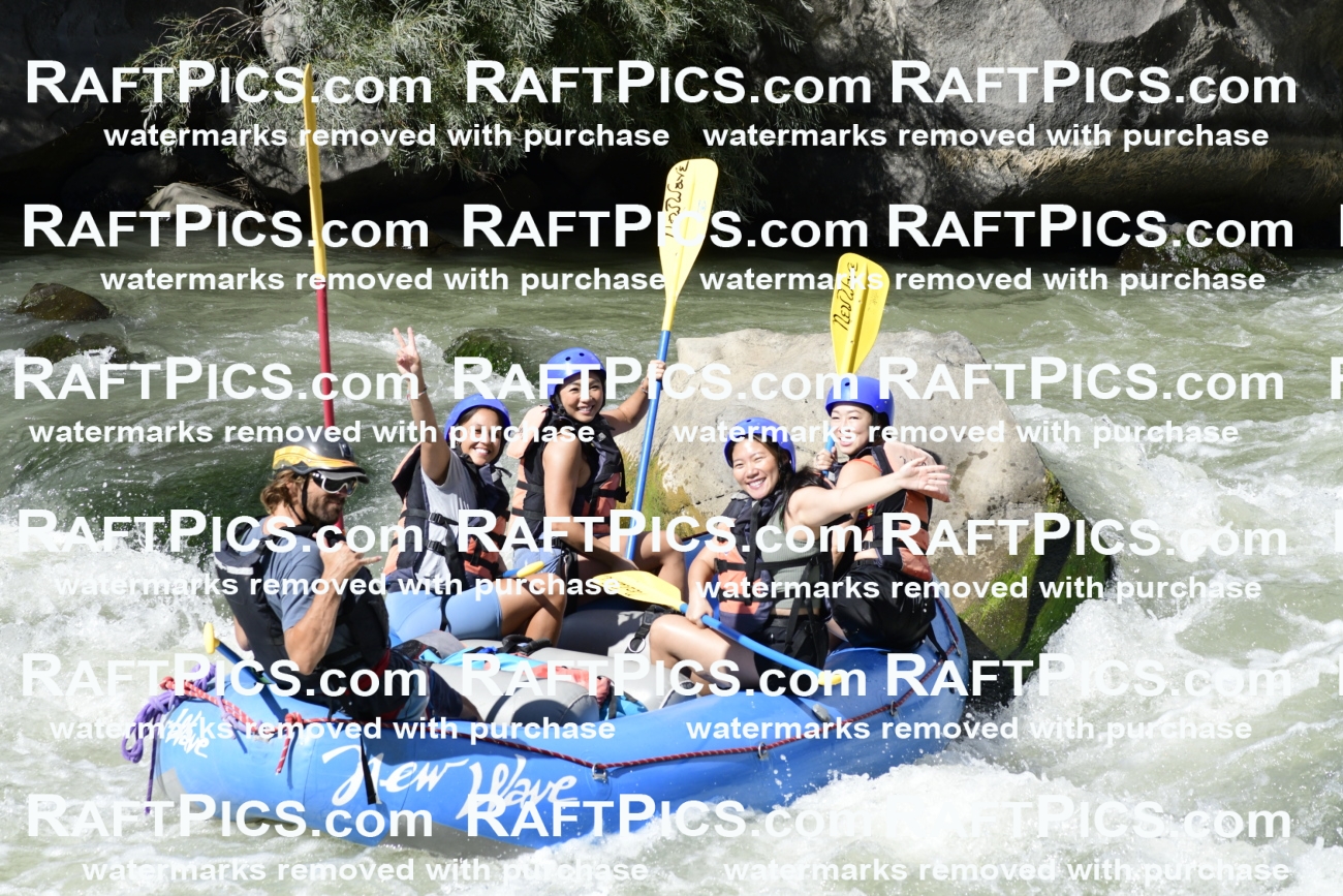 011086_Raftpics_September-07__NEW_WAVE__Racecourse_PM_KA_Dillon_KLA0625