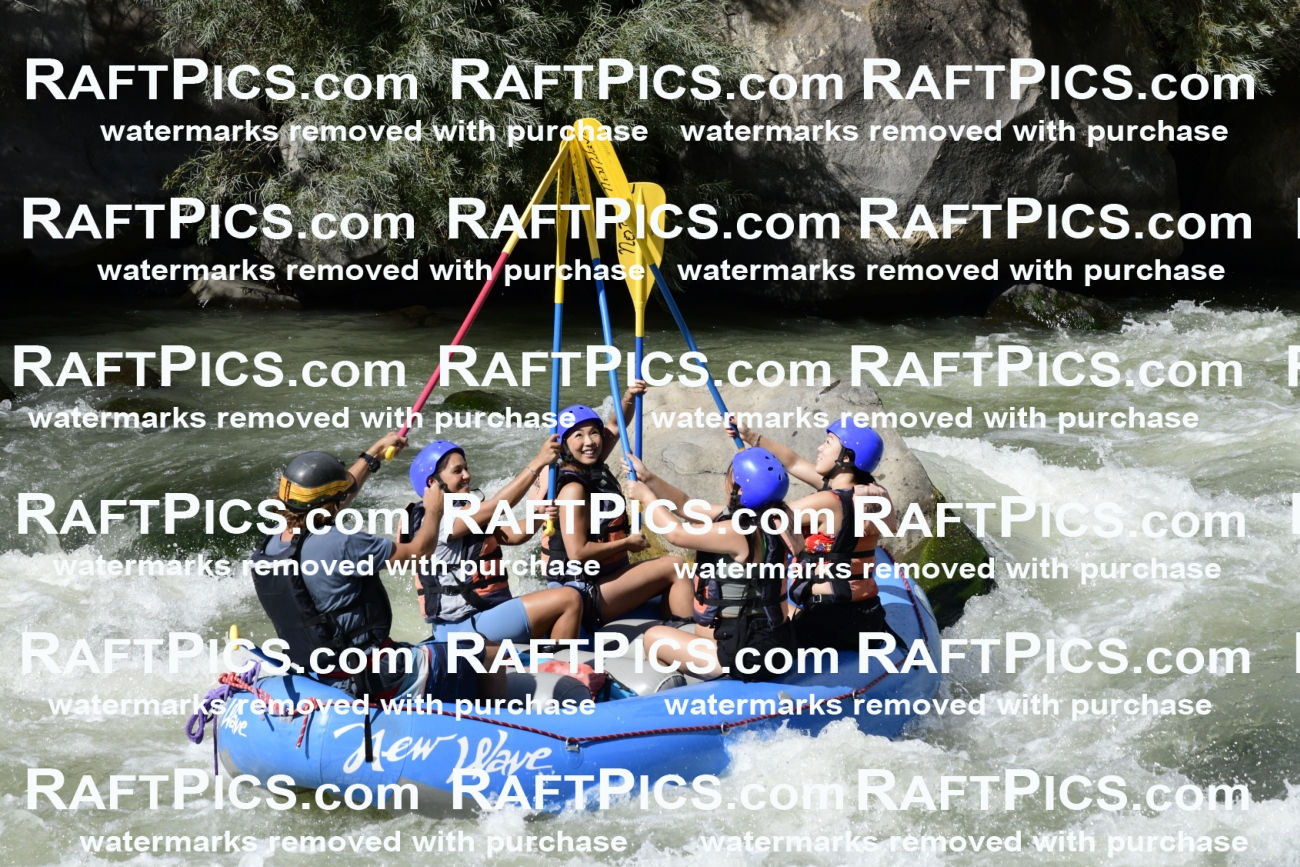 011088_Raftpics_September-07__NEW_WAVE__Racecourse_PM_KA_Dillon_KLA0627