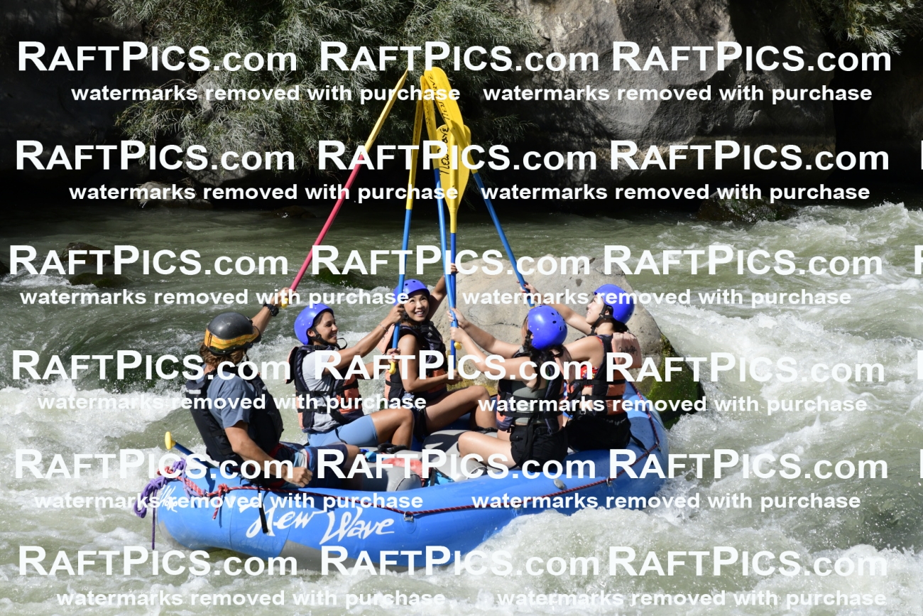 011089_Raftpics_September-07__NEW_WAVE__Racecourse_PM_KA_Dillon_KLA0628