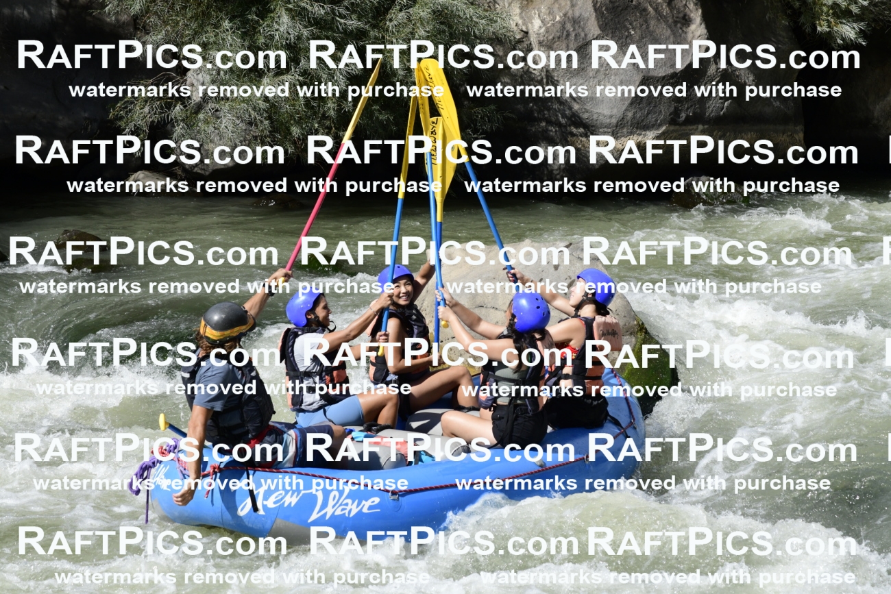 011090_Raftpics_September-07__NEW_WAVE__Racecourse_PM_KA_Dillon_KLA0629