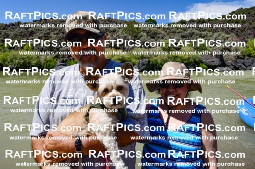 010949_Raftpics_September-07__NEW_WAVE__Racecourse_PM_KA_Orlando_KLA0201