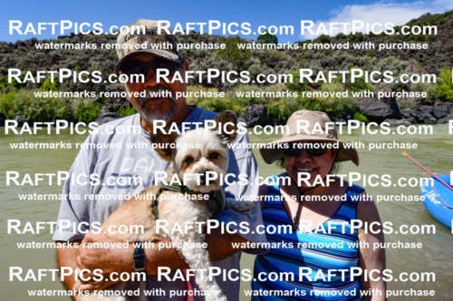 010950_Raftpics_September-07__NEW_WAVE__Racecourse_PM_KA_Orlando_KLA0202