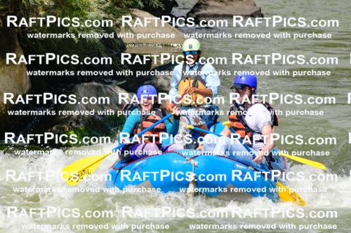 010967_Raftpics_September-07__NEW_WAVE__Racecourse_PM_KA_Orlando_KLA0251