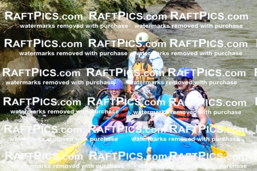 010968_Raftpics_September-07__NEW_WAVE__Racecourse_PM_KA_Orlando_KLA0252