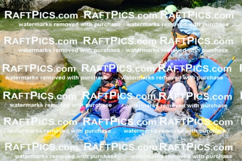 010975_Raftpics_September-07__NEW_WAVE__Racecourse_PM_KA_Orlando_KLA0259