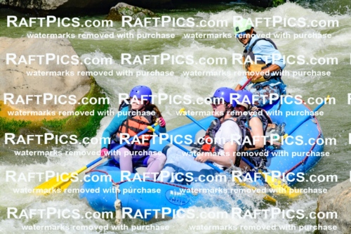 010976_Raftpics_September-07__NEW_WAVE__Racecourse_PM_KA_Orlando_KLA0260