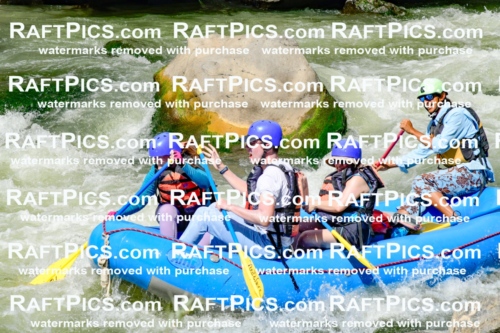 010979_Raftpics_September-07__NEW_WAVE__Racecourse_PM_KA_Orlando_KLA0263